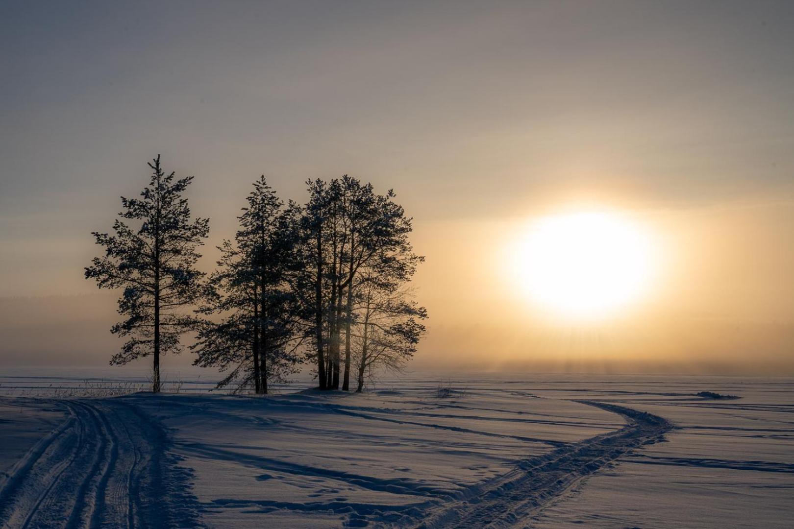 Palojaerven Lomakeskus Villa Sonka Exteriör bild